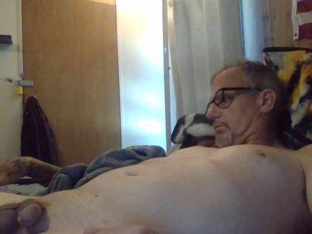 Springer007 webcam