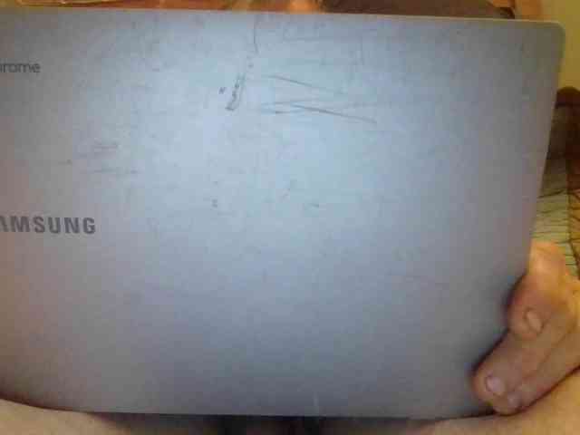 Springer007 webcam