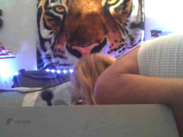 Springer007 webcam