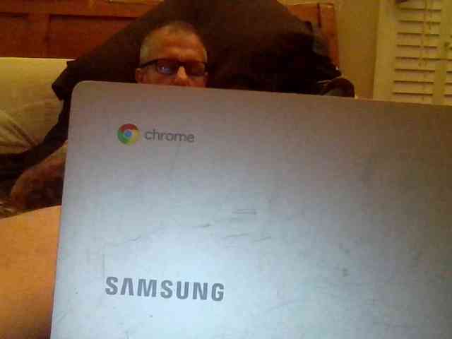 Springer007 webcam