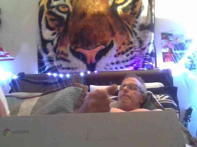 Springer007 webcam