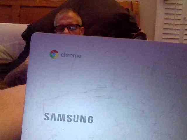 Springer007 webcam