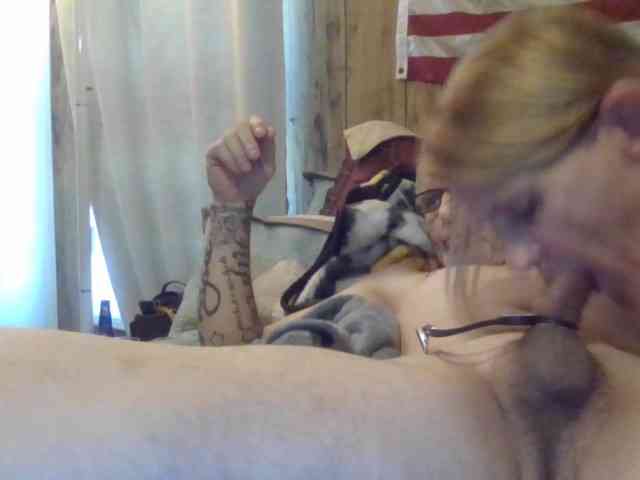 Springer007 webcam