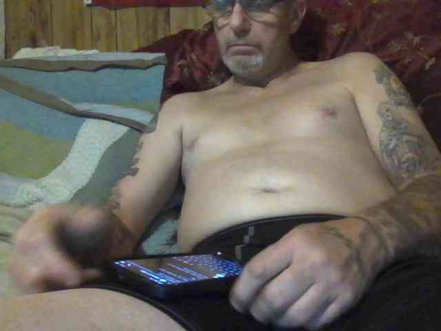 Springer007 webcam