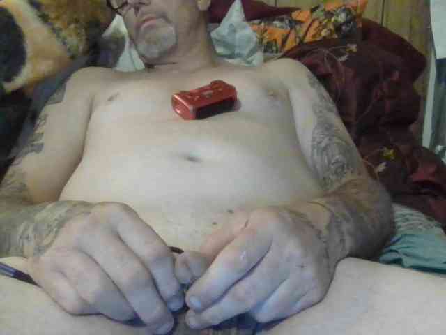 Springer007 webcam