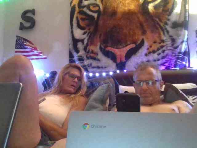 Springer007 webcam