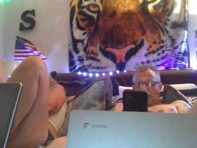 Springer007 webcam