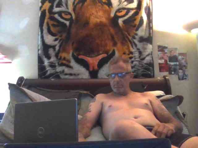 Springer007 webcam