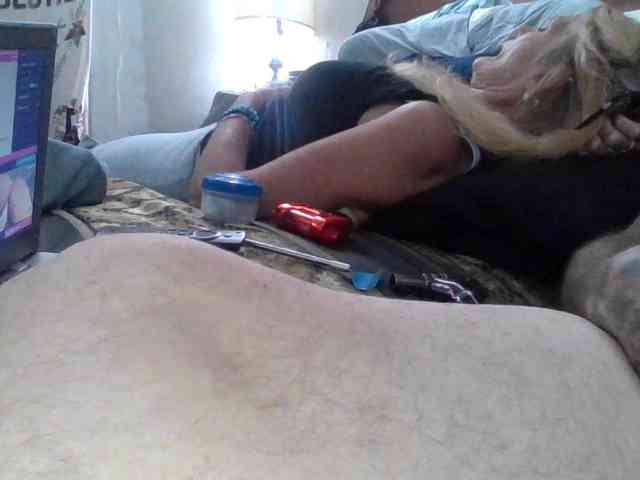 Springer007 webcam