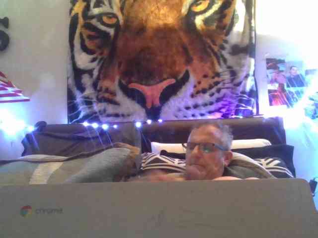 Springer007 webcam