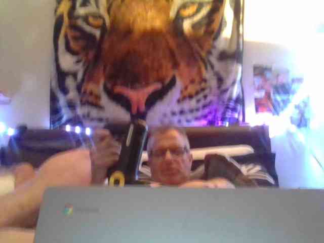Springer007 webcam