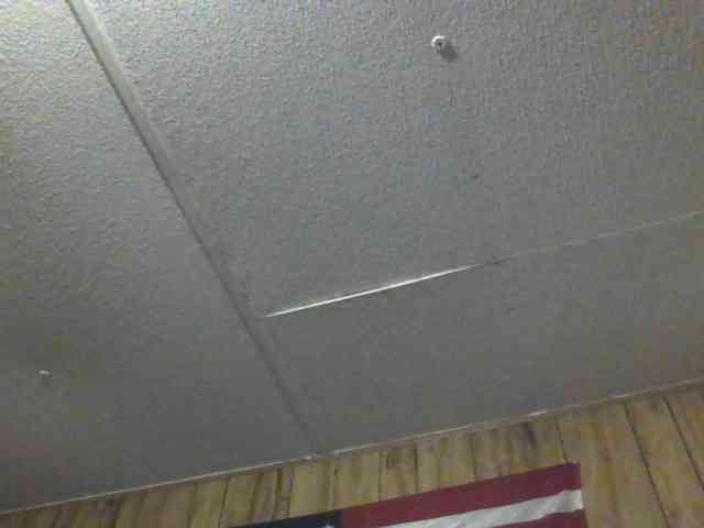 Springer007 webcam