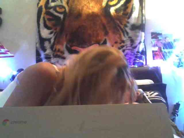 Springer007 webcam