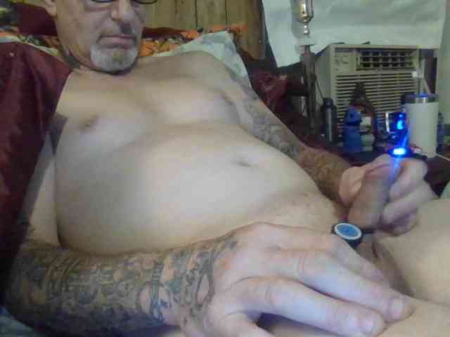 Springer007 webcam