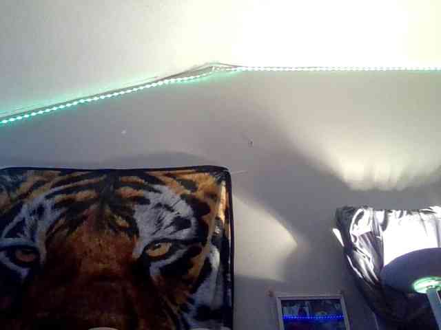 Springer007 webcam