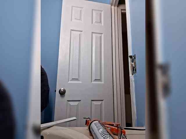 Springer007 webcam