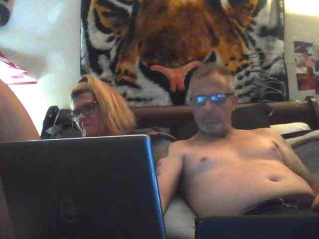 Springer007 webcam