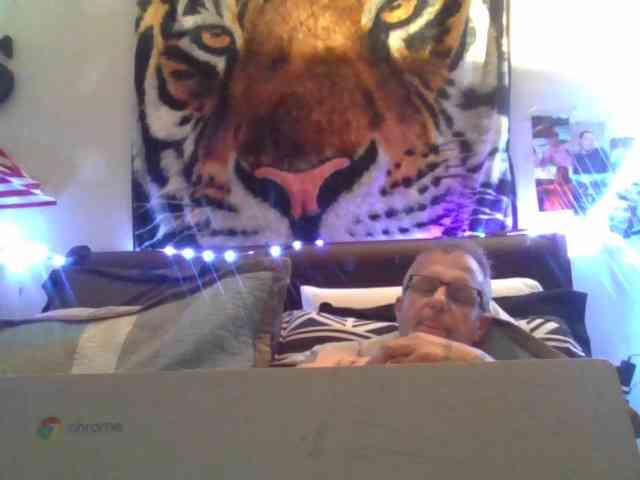 Springer007 webcam