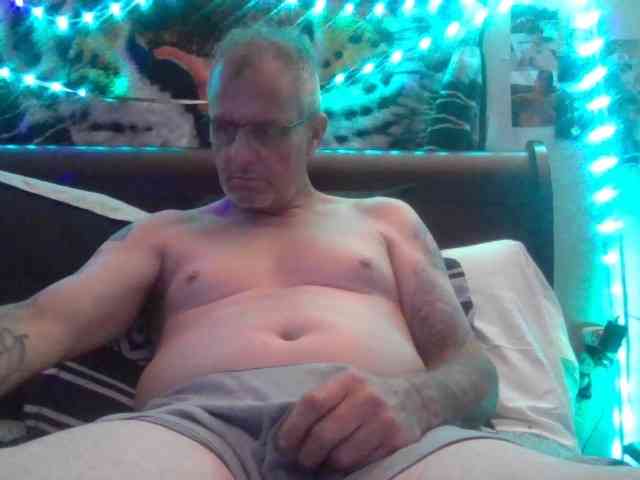 Springer007 webcam