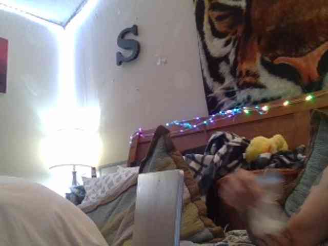Springer007 webcam