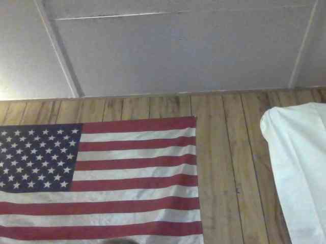 Springer007 webcam