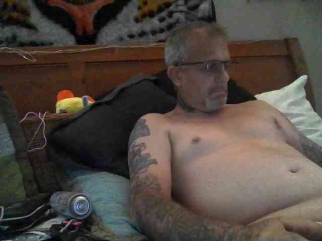 Springer007 webcam