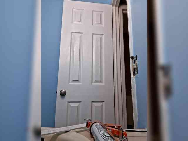 Springer007 webcam