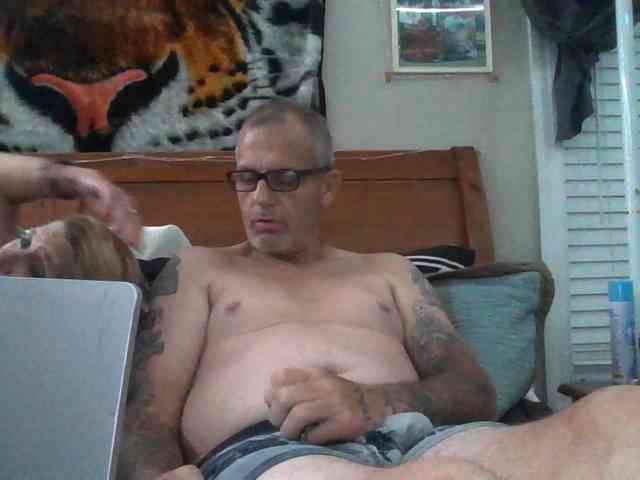 Springer007 webcam