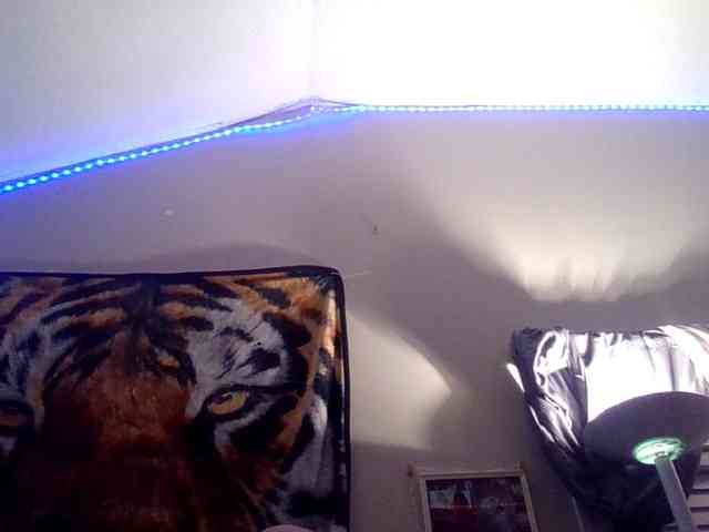 Springer007 webcam