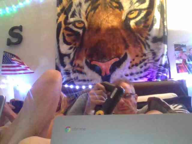 Springer007 webcam