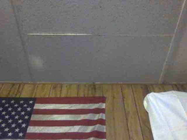 Springer007 webcam