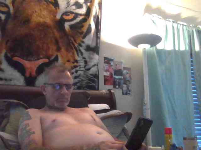 Springer007 webcam