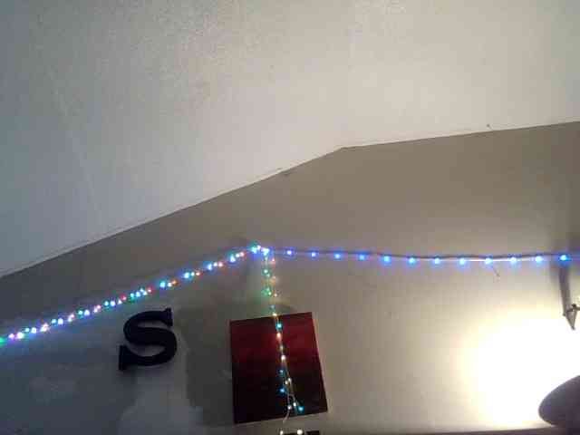 Springer007 webcam