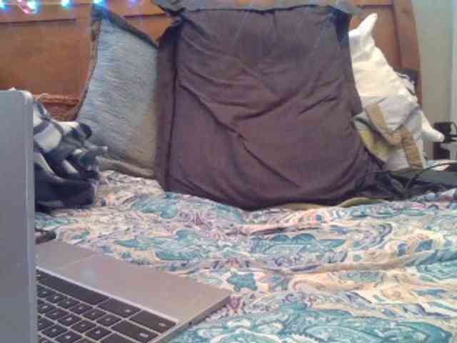Springer007 webcam