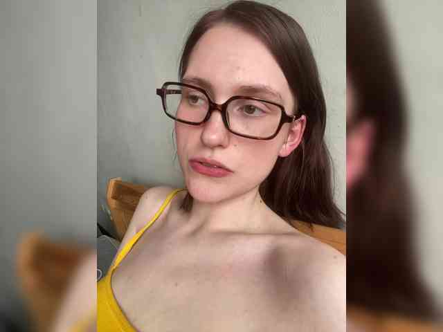 Модель: DingDing