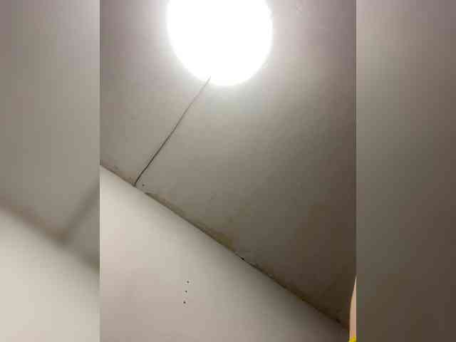 DingDing webcam
