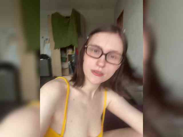 DingDing webcam
