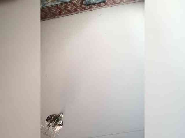 Elen-light webcam