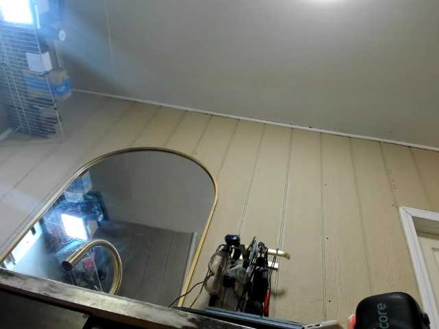 Adellebunny