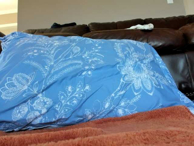 Adellebunny live cam on BongaCams