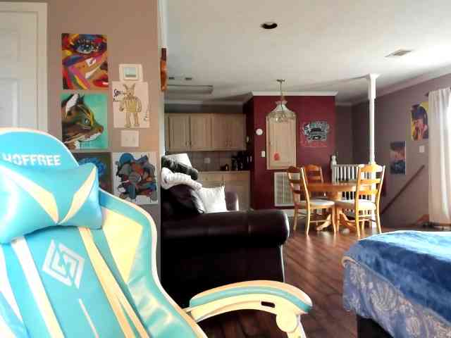 Adellebunny webcam
