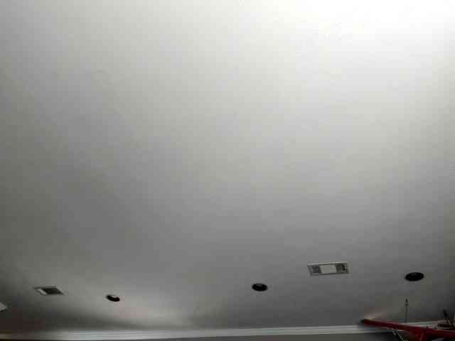 Adellebunny webcam