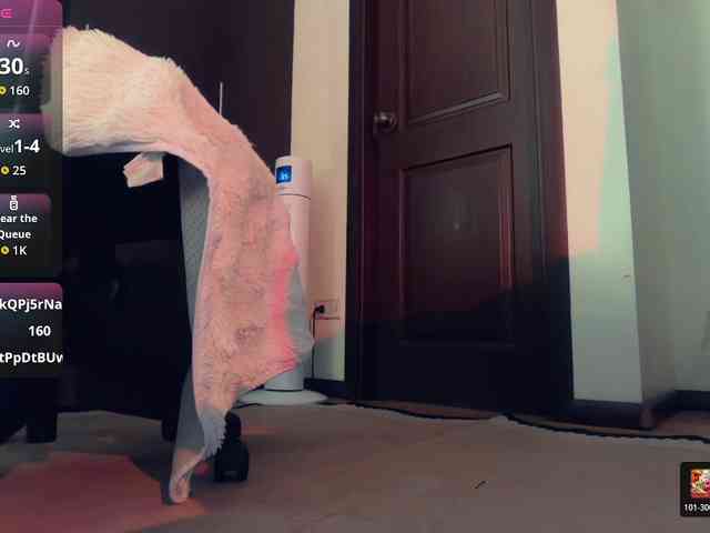 Luna-luna webcam