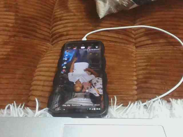 enchantra webcam