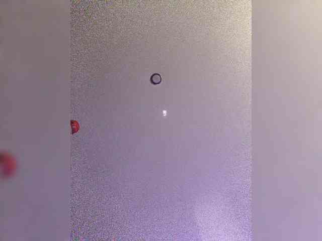 JulAmur webcam