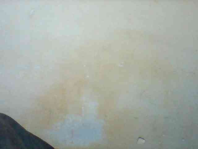 Cute-tashb webcam