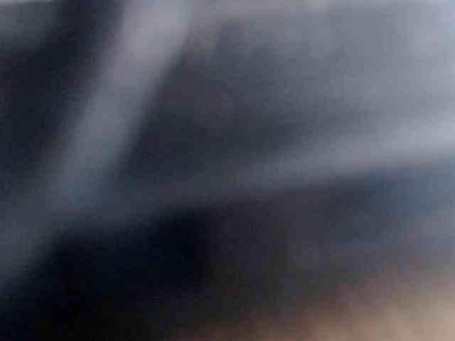LenaHoney20