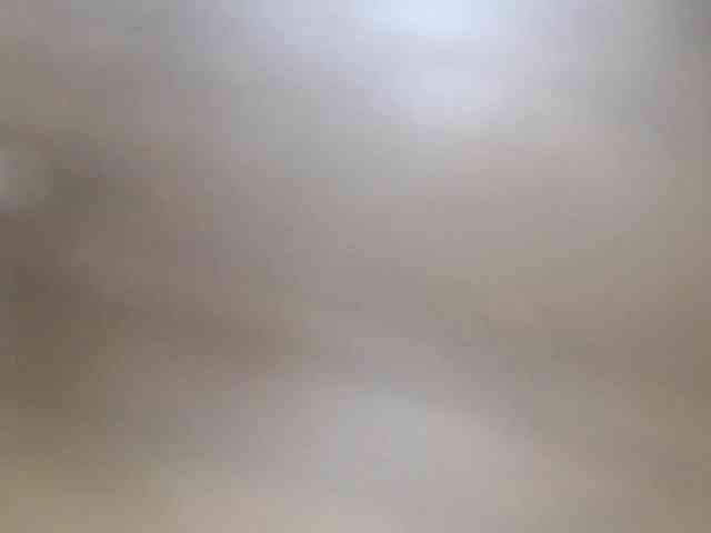 LenaHoney20