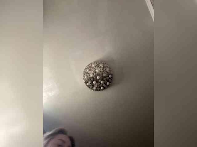 Kiss_999 webcam