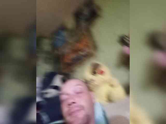 Viktor83a Sex Cam Show